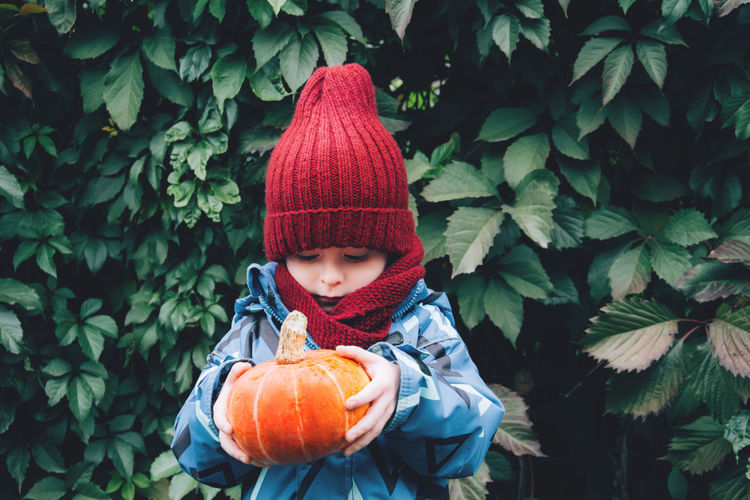 Autumn, little child holding an orange pumpkin. thanksgiving and halloween season. harvesting