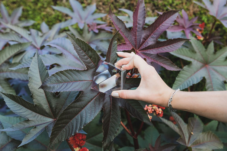 Cropped hand of woman holding pyramid crystal against plant