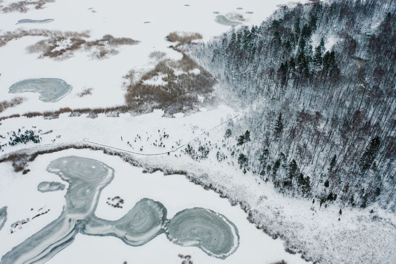 Scenic view of snow covered trees