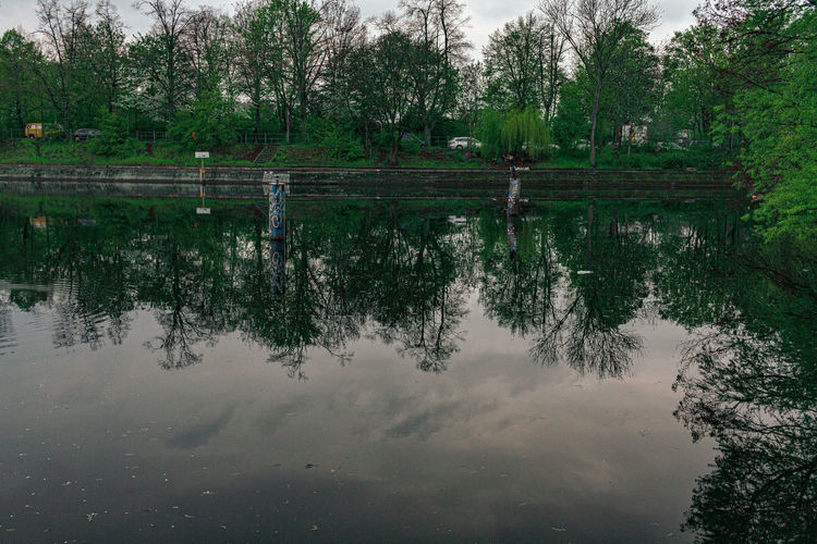 Reflection of trees in lake