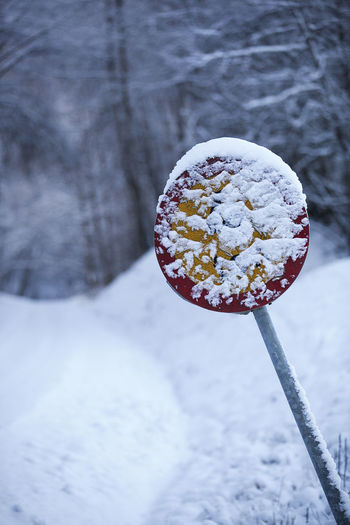 Close-up of ice cream