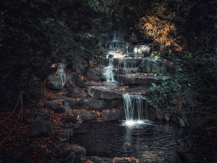 Waterfall in a botanical garden