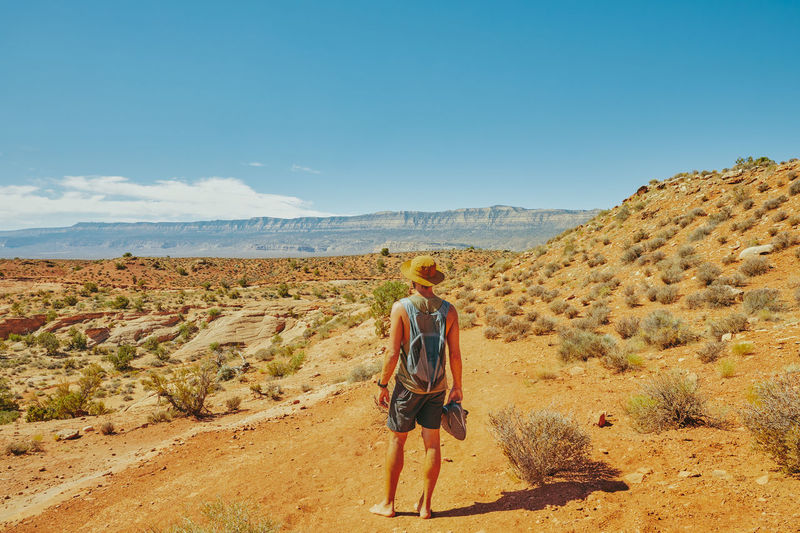 Back of young man wearing hat gazing out to desert during hike.
