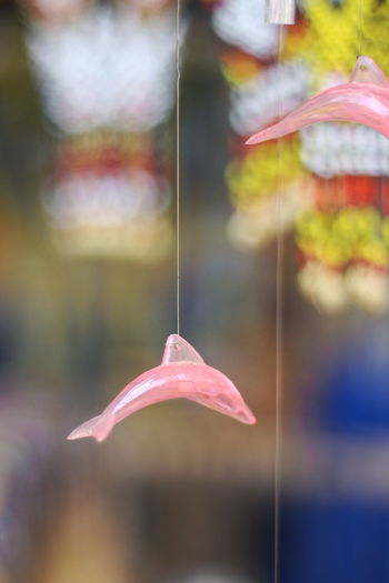 Close-up of dolphin chime hanging outdoors