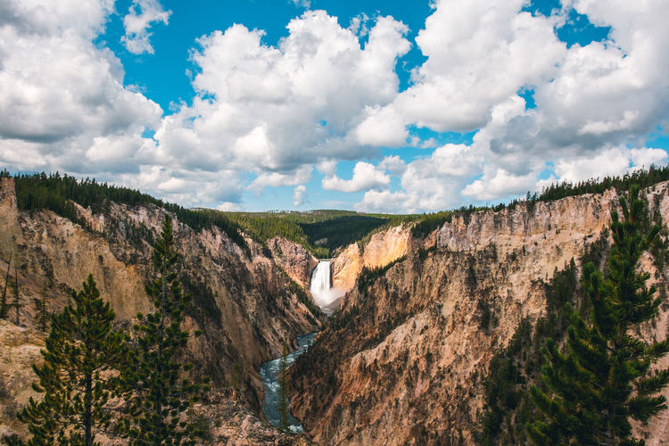 Yellowstone national park in summer