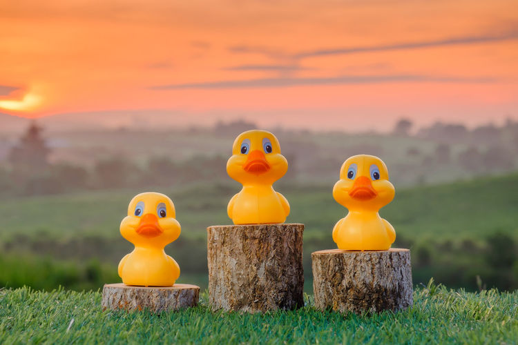 Close-up of yellow toys on field during sunset