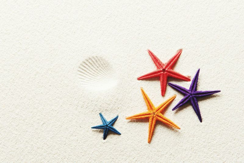 Close-up of starfish on sand