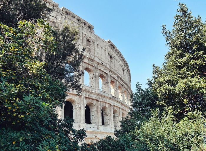 Low angle view of coliseum and trees against sky