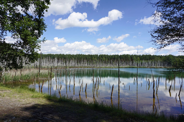 Scenic view of lake against sky