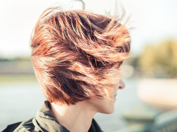 50 Wind Pictures Hd Download Authentic Images On Eyeem