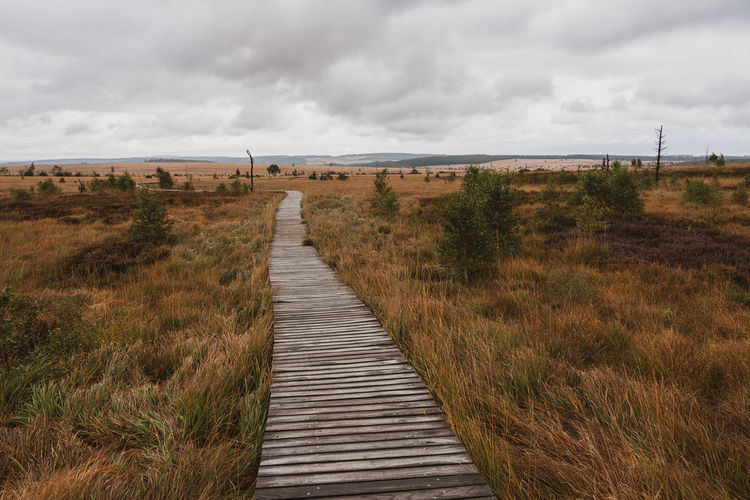 Wooden path in eifel nature park hohes venn.