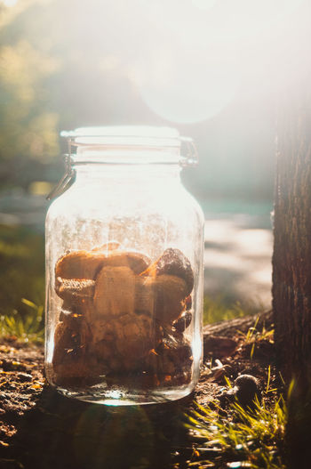 Close-up of glass jar with dog treats on sidewalk