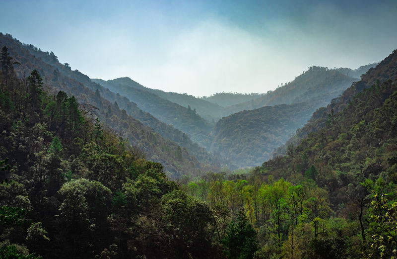 Mountain valley covered with dense forest and blue sky at morning from flat angle 