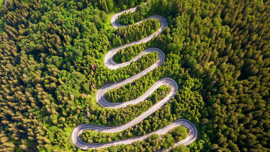 Aerial view of winding road in high mountain pass trough dense green pine woods.
