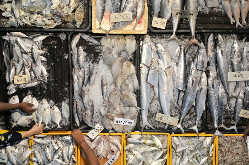 View of fish for sale in market