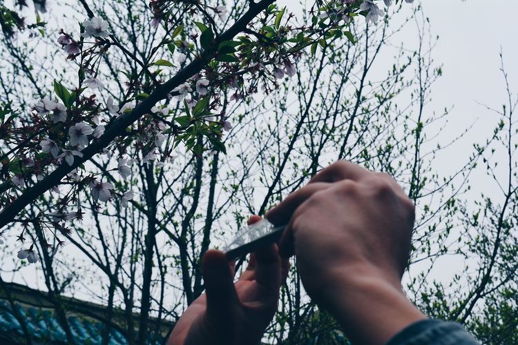Low angle view of bare tree