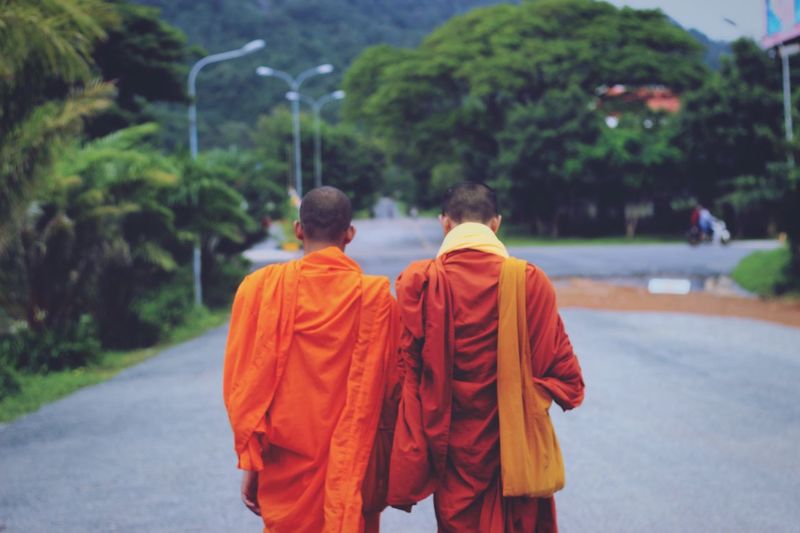 Rear view of monks walking on road