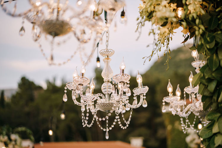 Low angle view of illuminated chandelier hanging on tree