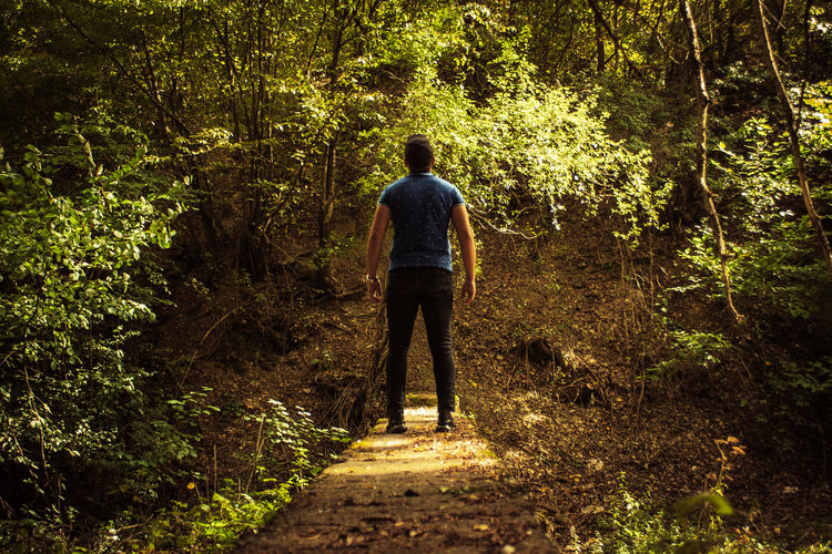 Rear view of man walking in forest