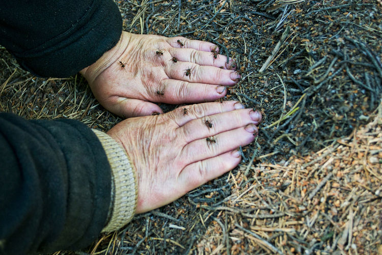 High angle view of man hands on land