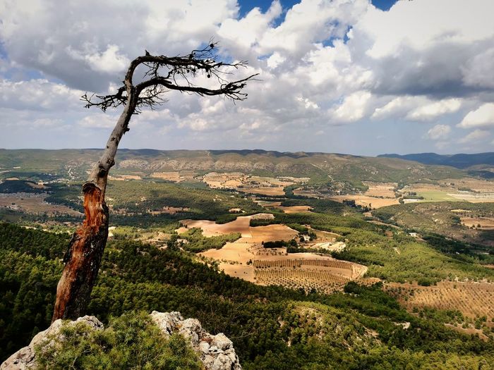 Scenic view of landscape against cloudy sky
