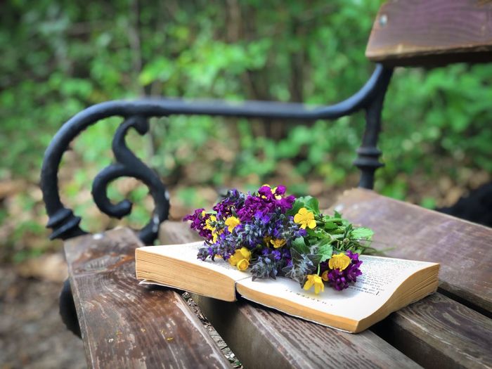 Open book and spring flowers on a wooden bench