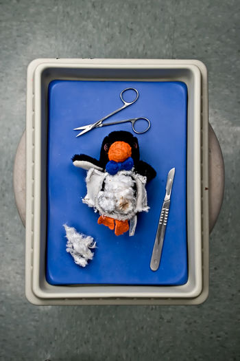Directly above shot of toy and surgical equipment in medical tray on table