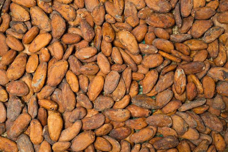 Full frame shot of cacao 
