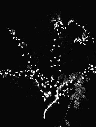 Low angle view of illuminated lights at night