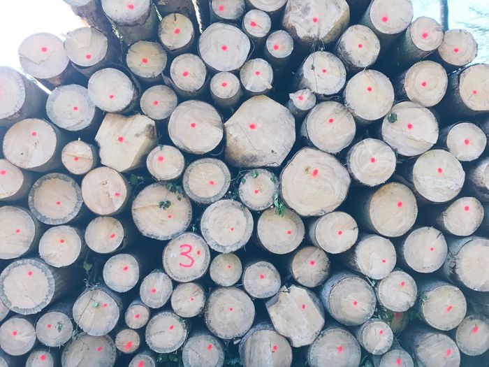 Close-up of stacked logs