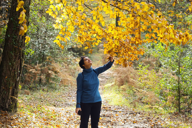 Woman touching leaf on autumn tree in forest