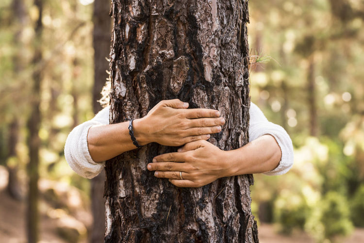 Midsection of man holding tree trunk in forest