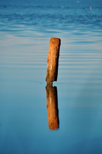 Close-up of wooden post by lake