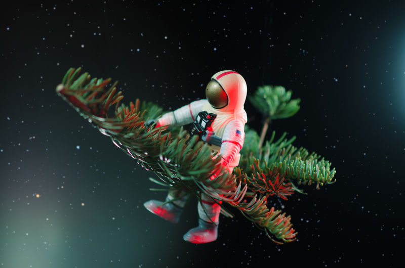 Close-up of astronaut figurine on tree toy