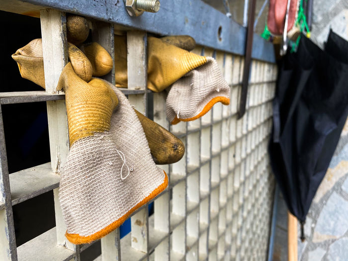 Close-up of animal hanging on metal railing