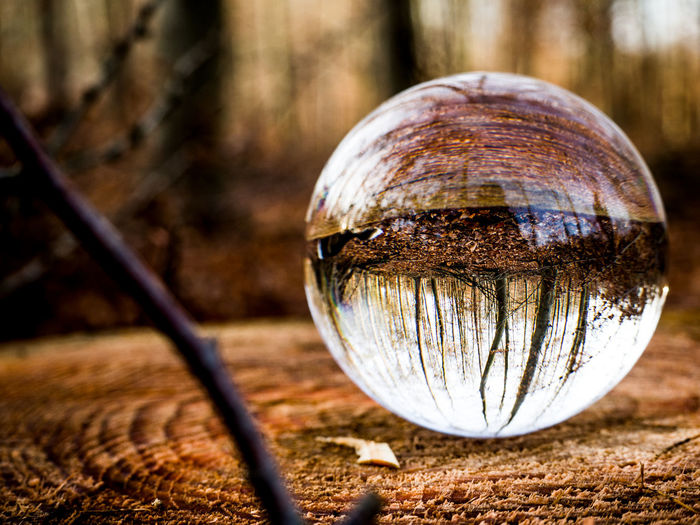 Close-up of crystal ball on wooden table in field