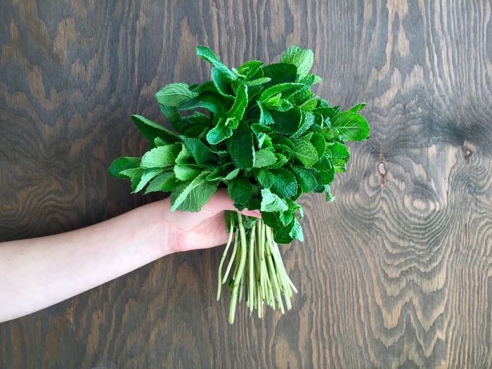 High angle view of hand holding bunch of mint leaves at table