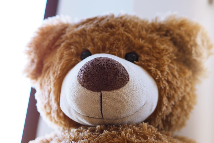 Close-up of stuffed toy brown teddy bear