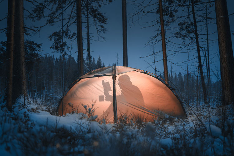 Shadow of man reading book in illuminated tent at snow covered forest during night