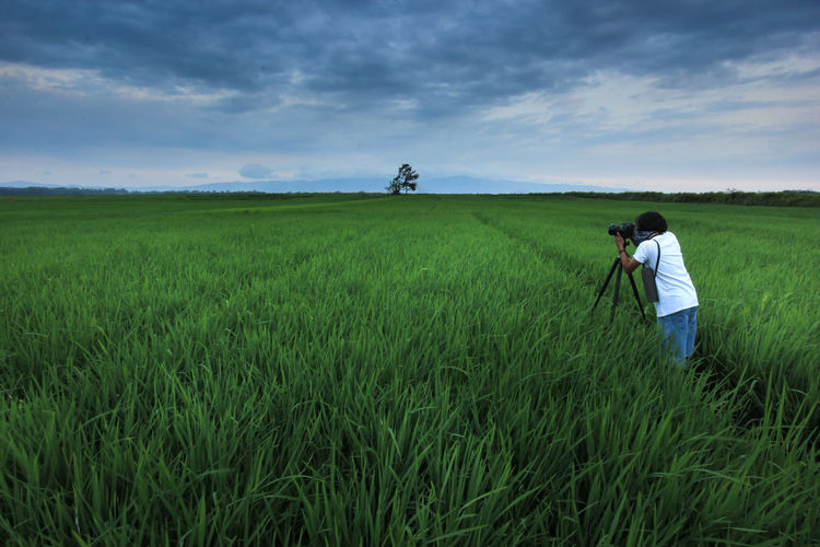Rear view of man photographing on field against sky