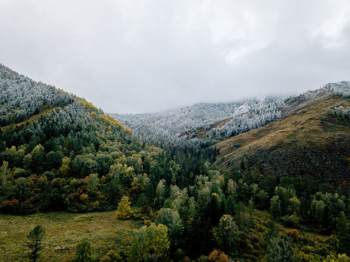 Scenic view of trees and mountains against sky
