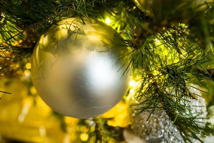 Close-up of bauble hanging on christmas tree