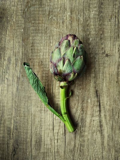High angle view of vegetables on table