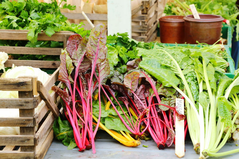 Close-up of colorful vegetables outdoors in autumn at farmers market 