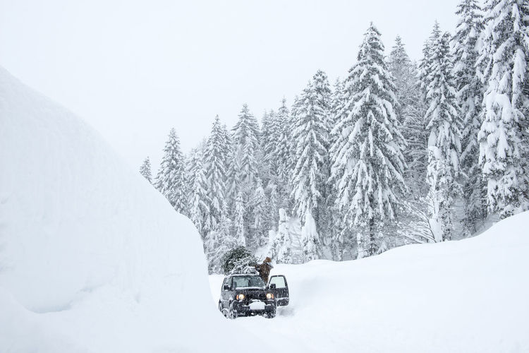 Austria, salzburger land, lammertal, man attaching christmas tree to car roof on snowy road