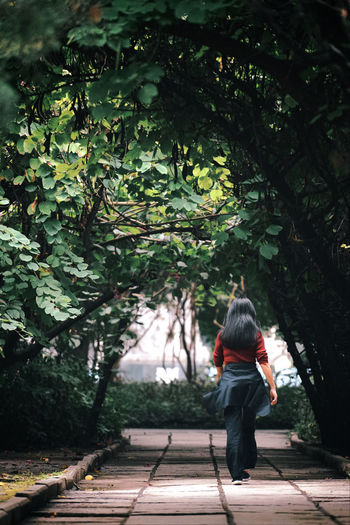 Rear view of woman walking on footpath amidst trees at park