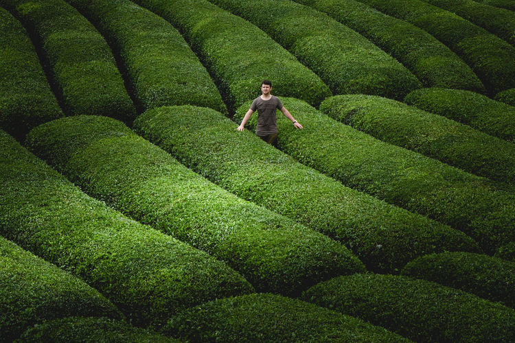 High angle view of man standing amidst plants
