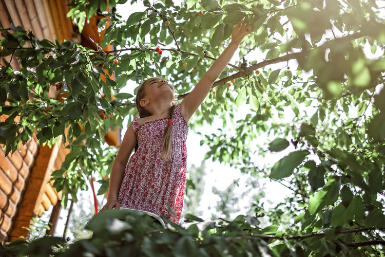 Low angle view of girl plucking fruit