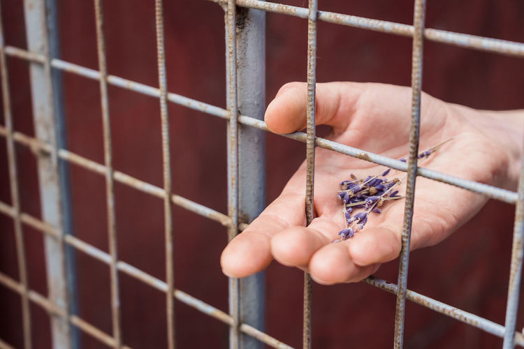 Close-up of mans hand showing pins through fence