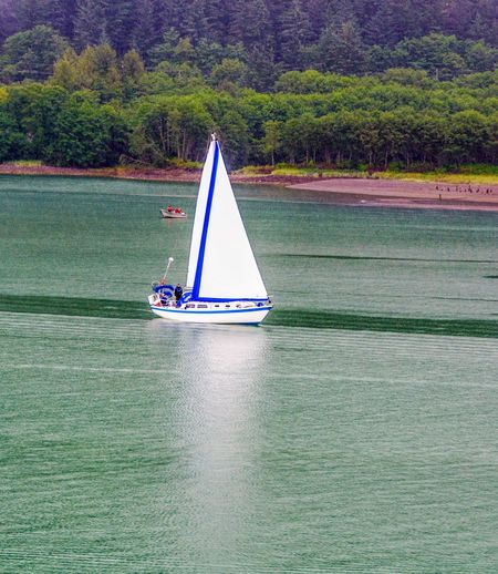 Boat sailing on river against trees